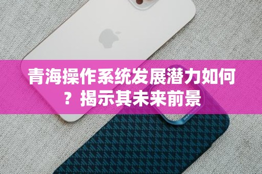 青海操作系统发展潜力如何？揭示其未来前景
