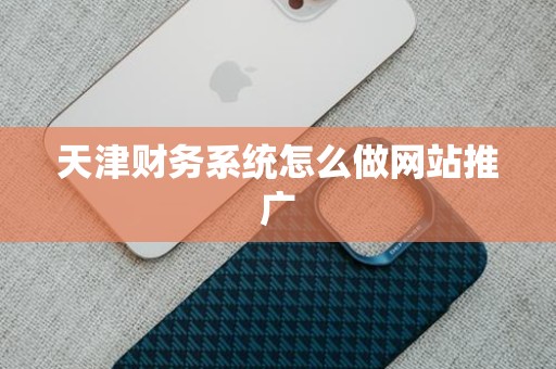 天津财务系统怎么做网站推广