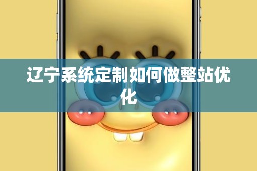辽宁系统定制如何做整站优化