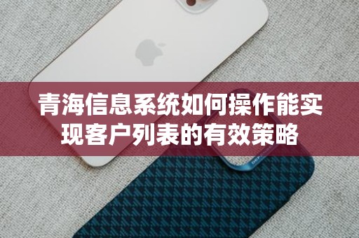 青海信息系统如何操作能实现客户列表的有效策略