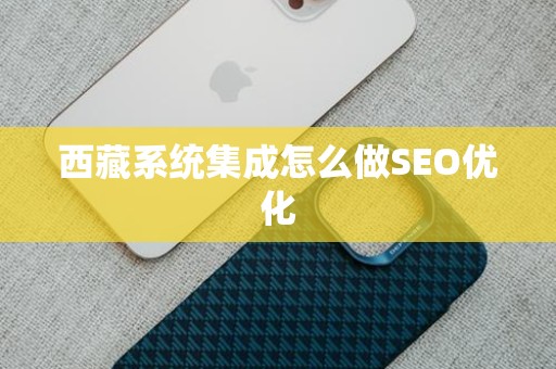 西藏系统集成怎么做SEO优化