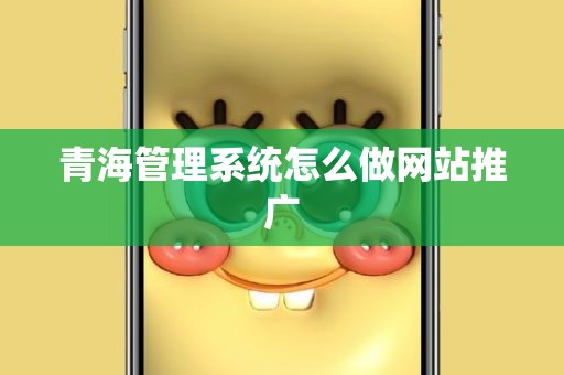 青海管理系统怎么做网站推广