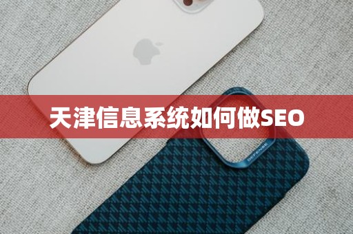 天津信息系统如何做SEO