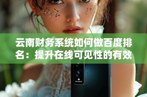 云南财务系统如何做百度排名：提升在线可见性的有效策略