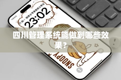 四川管理系统能做到哪些效果？