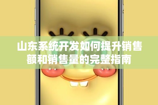 山东系统开发如何提升销售额和销售量的完整指南