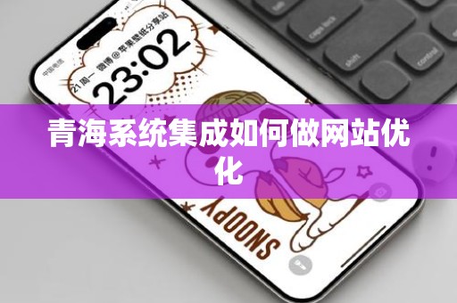 青海系统集成如何做网站优化