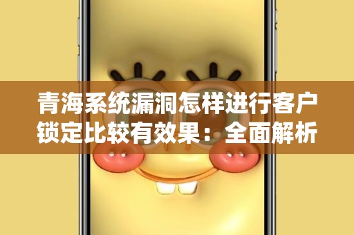 青海系统漏洞怎样进行客户锁定比较有效果：全面解析与实用策略
