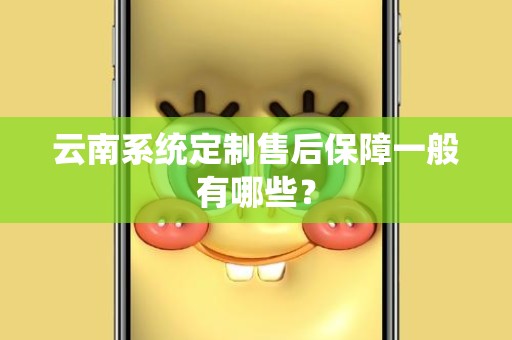 云南系统定制售后保障一般有哪些？