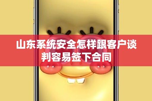 山东系统安全怎样跟客户谈判容易签下合同
