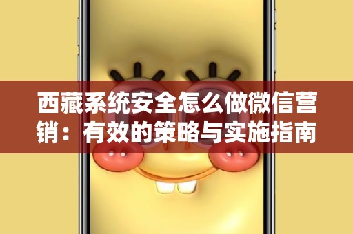 西藏系统安全怎么做微信营销：有效的策略与实施指南