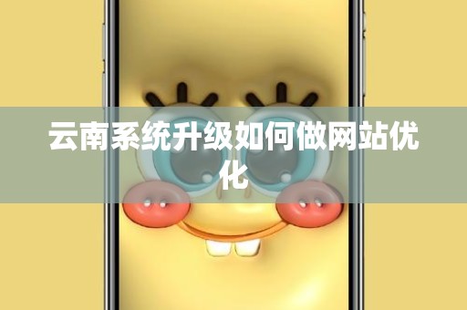 云南系统升级如何做网站优化