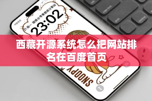 西藏开源系统怎么把网站排名在百度首页