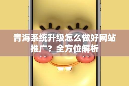 青海系统升级怎么做好网站推广？全方位解析