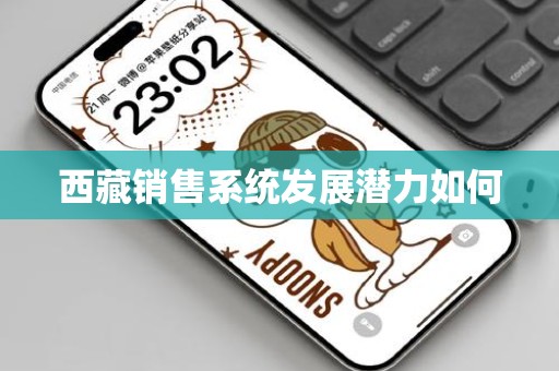 西藏销售系统发展潜力如何