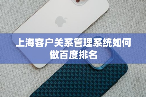 上海客户关系管理系统如何做百度排名