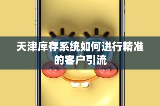 天津库存系统如何进行精准的客户引流