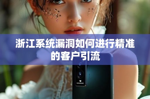 浙江系统漏洞如何进行精准的客户引流