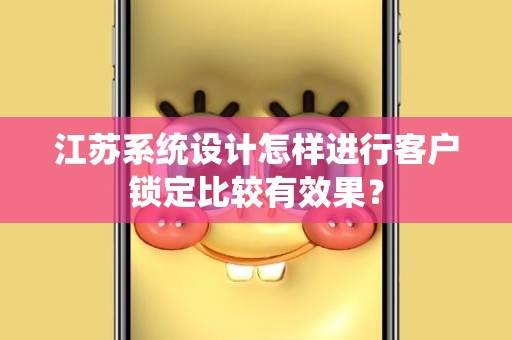 江苏系统设计怎样进行客户锁定比较有效果？