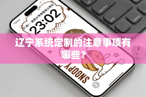 辽宁系统定制的注意事项有哪些？