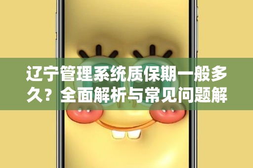 辽宁管理系统质保期一般多久？全面解析与常见问题解答