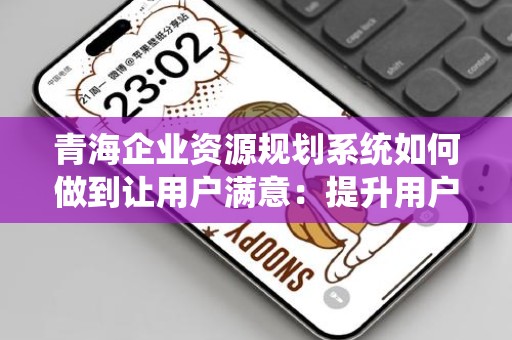 青海企业资源规划系统如何做到让用户满意：提升用户体验的策略