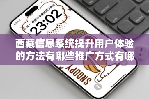 西藏信息系统提升用户体验的方法有哪些推广方式有哪些