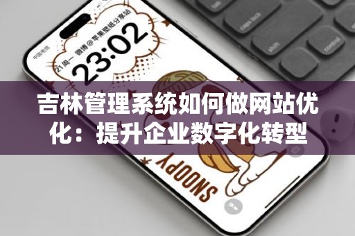 吉林管理系统如何做网站优化：提升企业数字化转型