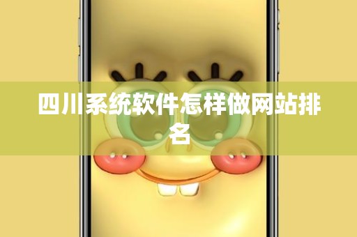 四川系统软件怎样做网站排名