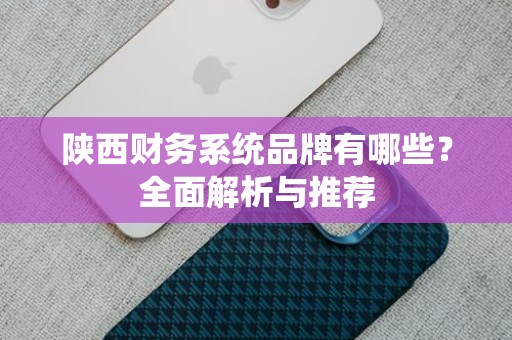 陕西财务系统品牌有哪些？全面解析与推荐