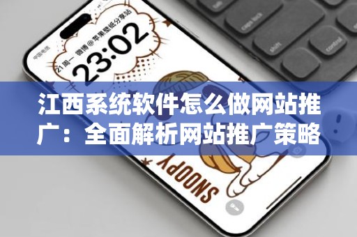 江西系统软件怎么做网站推广：全面解析网站推广策略