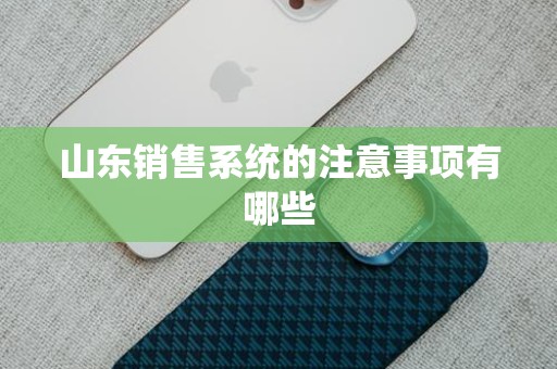 山东销售系统的注意事项有哪些
