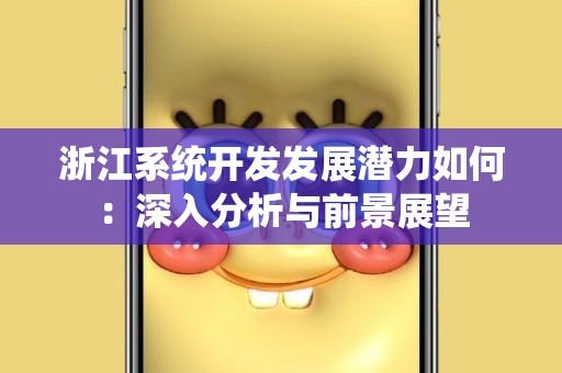 浙江系统开发发展潜力如何：深入分析与前景展望