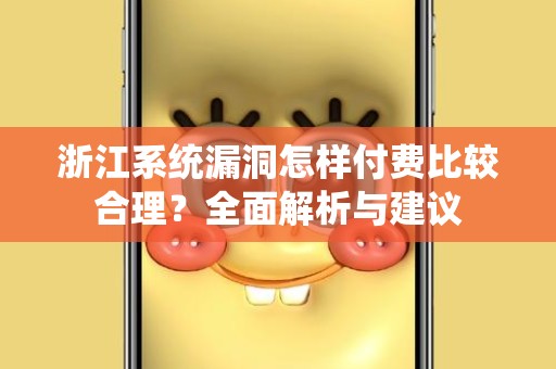 浙江系统漏洞怎样付费比较合理？全面解析与建议
