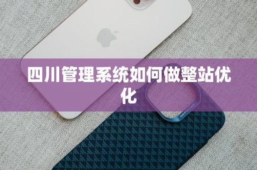 四川管理系统如何做整站优化