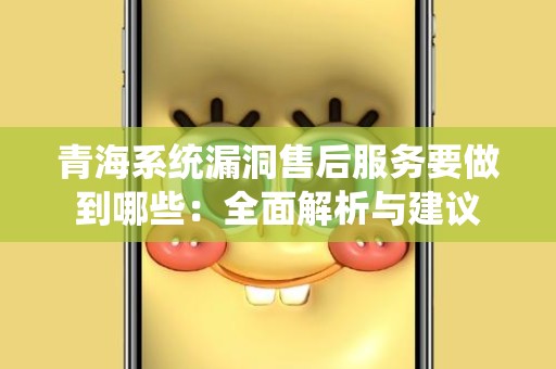 青海系统漏洞售后服务要做到哪些：全面解析与建议