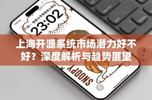 上海开源系统市场潜力好不好？深度解析与趋势展望