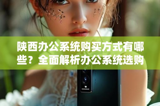 陕西办公系统购买方式有哪些？全面解析办公系统选购指南