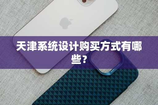 天津系统设计购买方式有哪些？