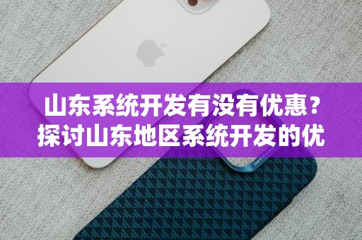 山东系统开发有没有优惠？探讨山东地区系统开发的优惠政策与选择