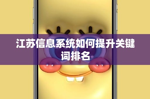 江苏信息系统如何提升关键词排名