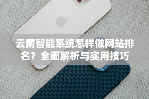 云南智能系统怎样做网站排名？全面解析与实用技巧