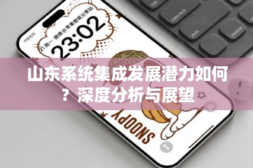山东系统集成发展潜力如何？深度分析与展望