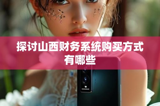 探讨山西财务系统购买方式有哪些