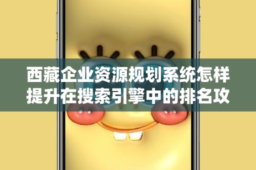 西藏企业资源规划系统怎样提升在搜索引擎中的排名攻略