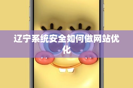 辽宁系统安全如何做网站优化