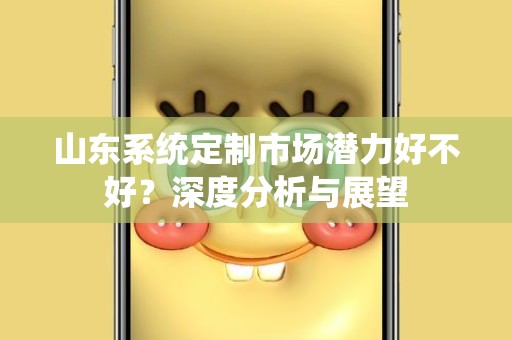 山东系统定制市场潜力好不好？深度分析与展望