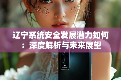 辽宁系统安全发展潜力如何：深度解析与未来展望