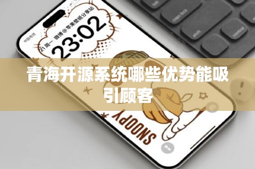 青海开源系统哪些优势能吸引顾客