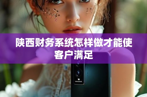 陕西财务系统怎样做才能使客户满足